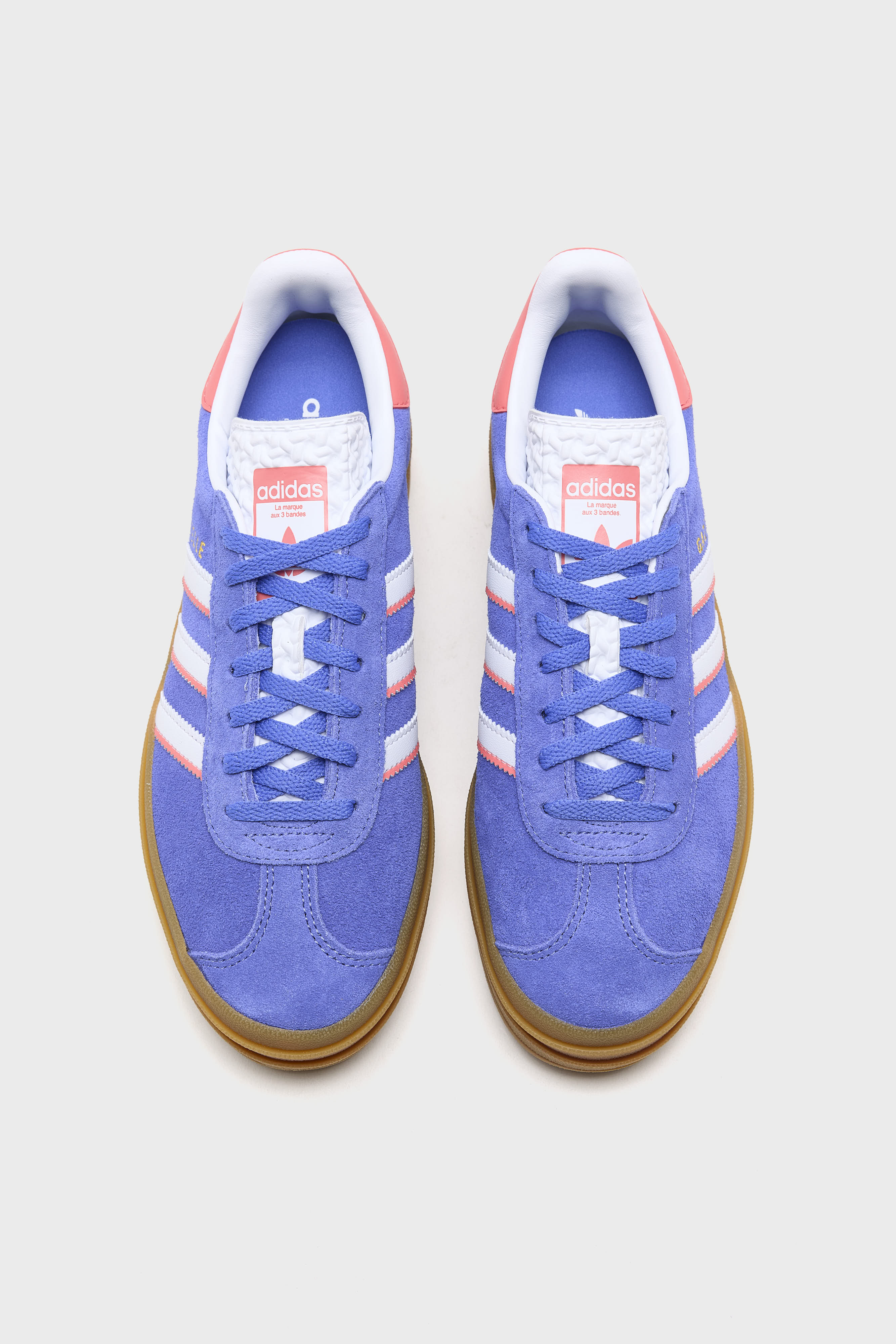 Gazelle Bold for Juniors  (261 / G / BLUE)