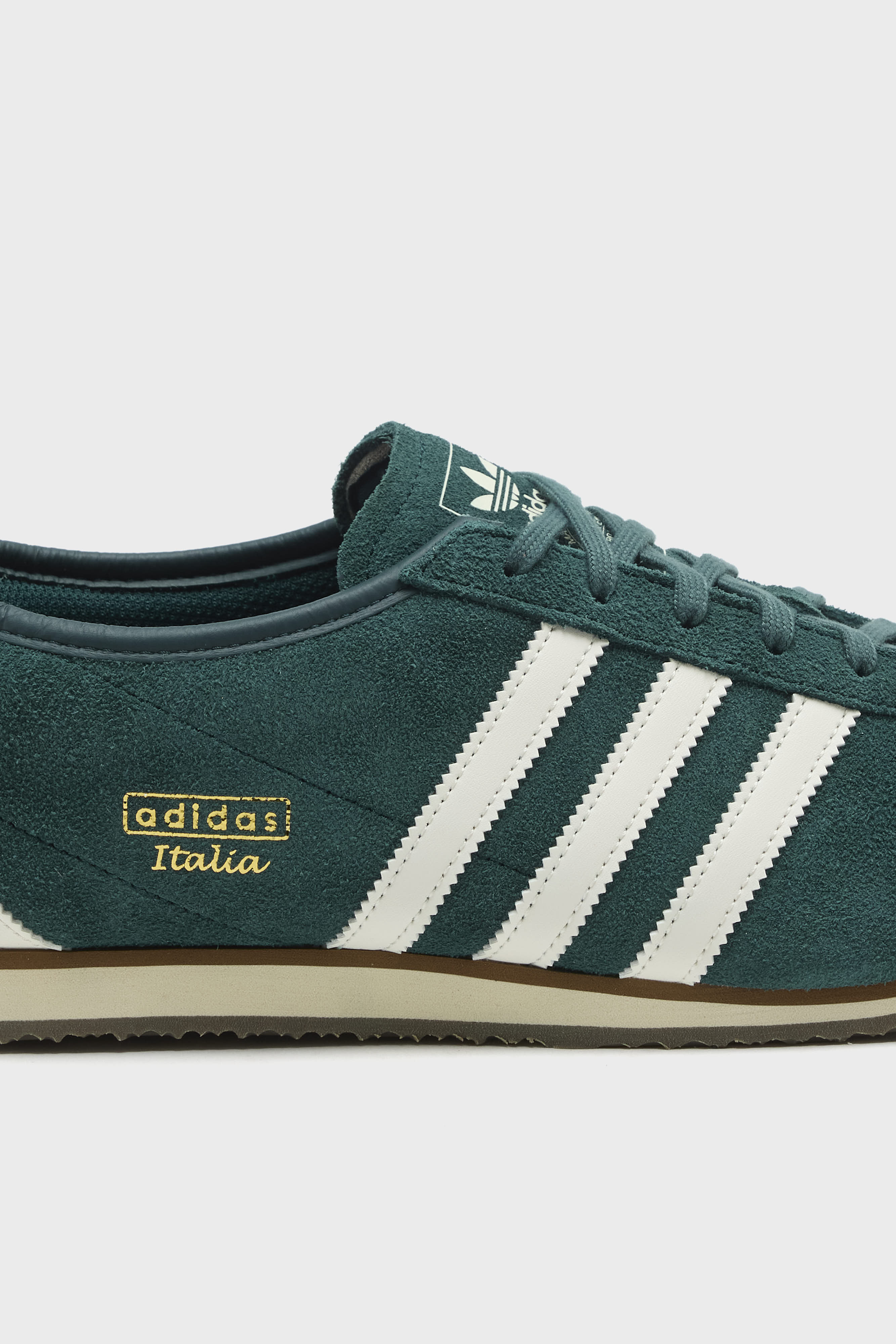Italia 70s for Men  (261 / M / GREEN)