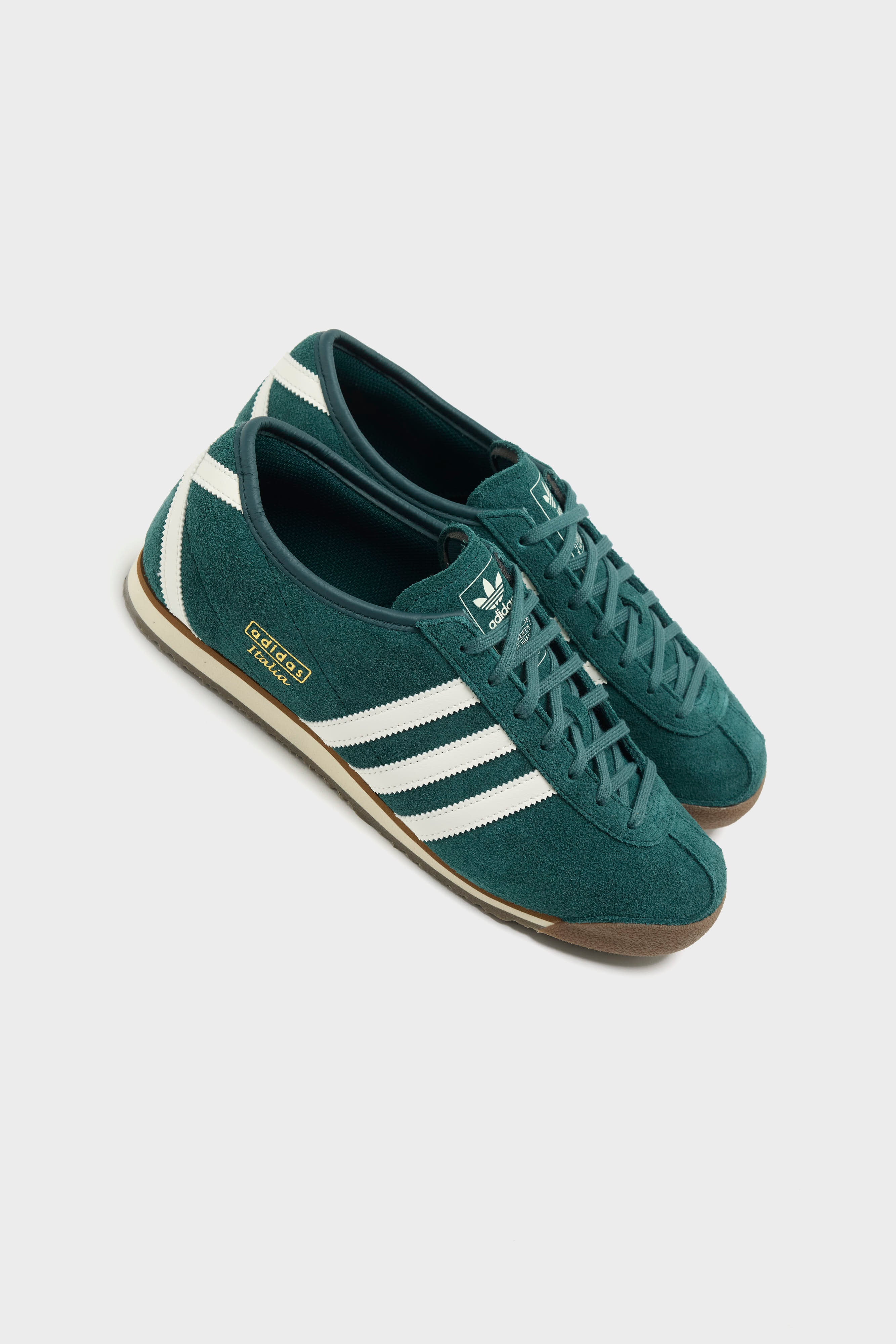 Italia 70s for Men  (261 / M / GREEN)