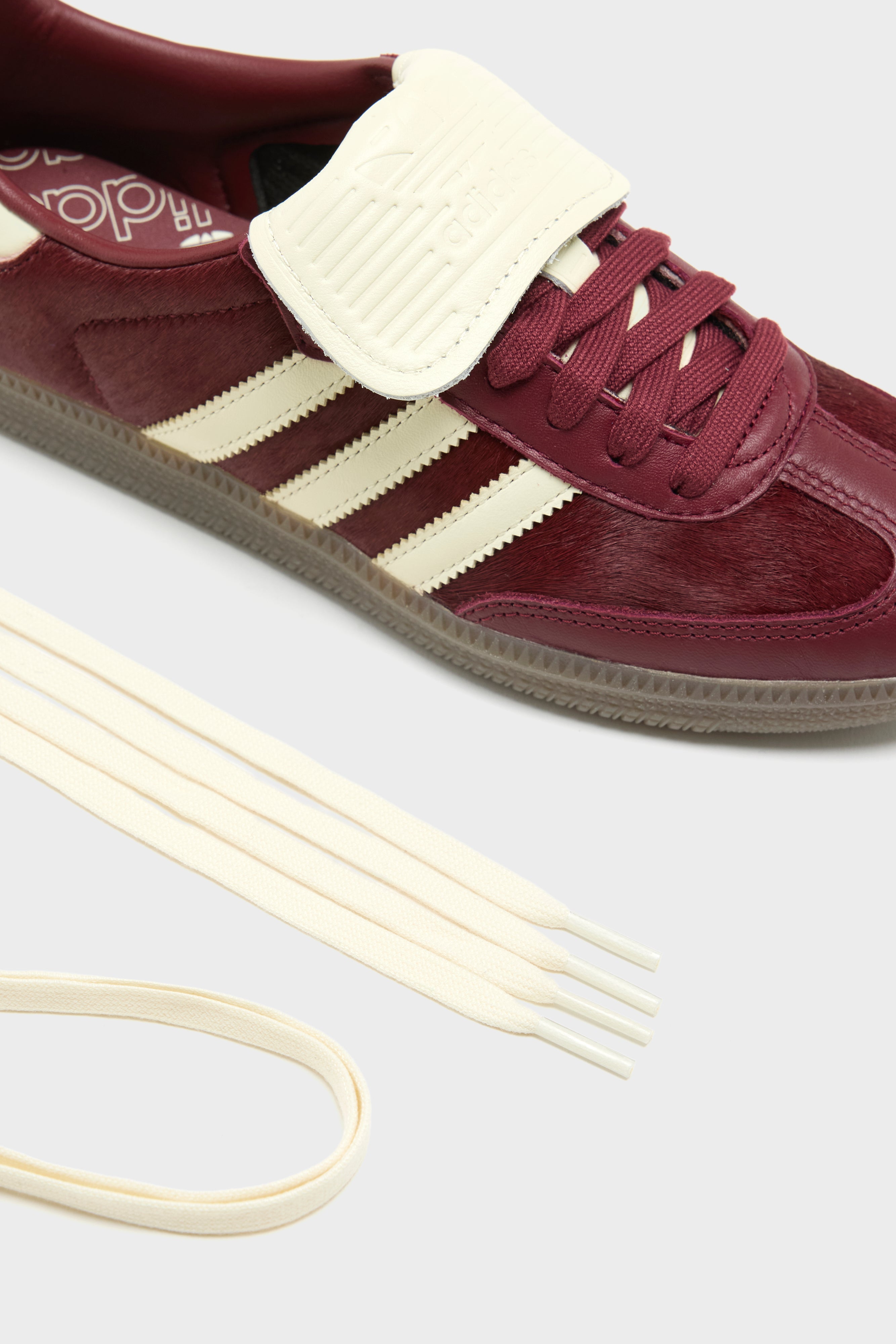 Samba LT for Women  (261 / W / BORDEAUX)