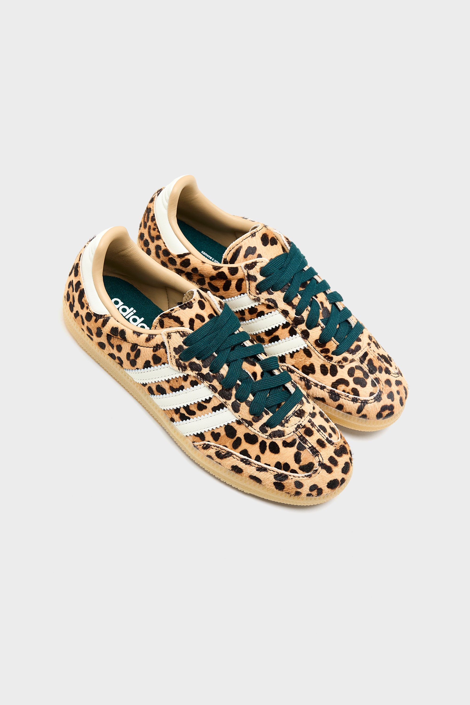 Samba OG for Women  (261 / W / BROWN)