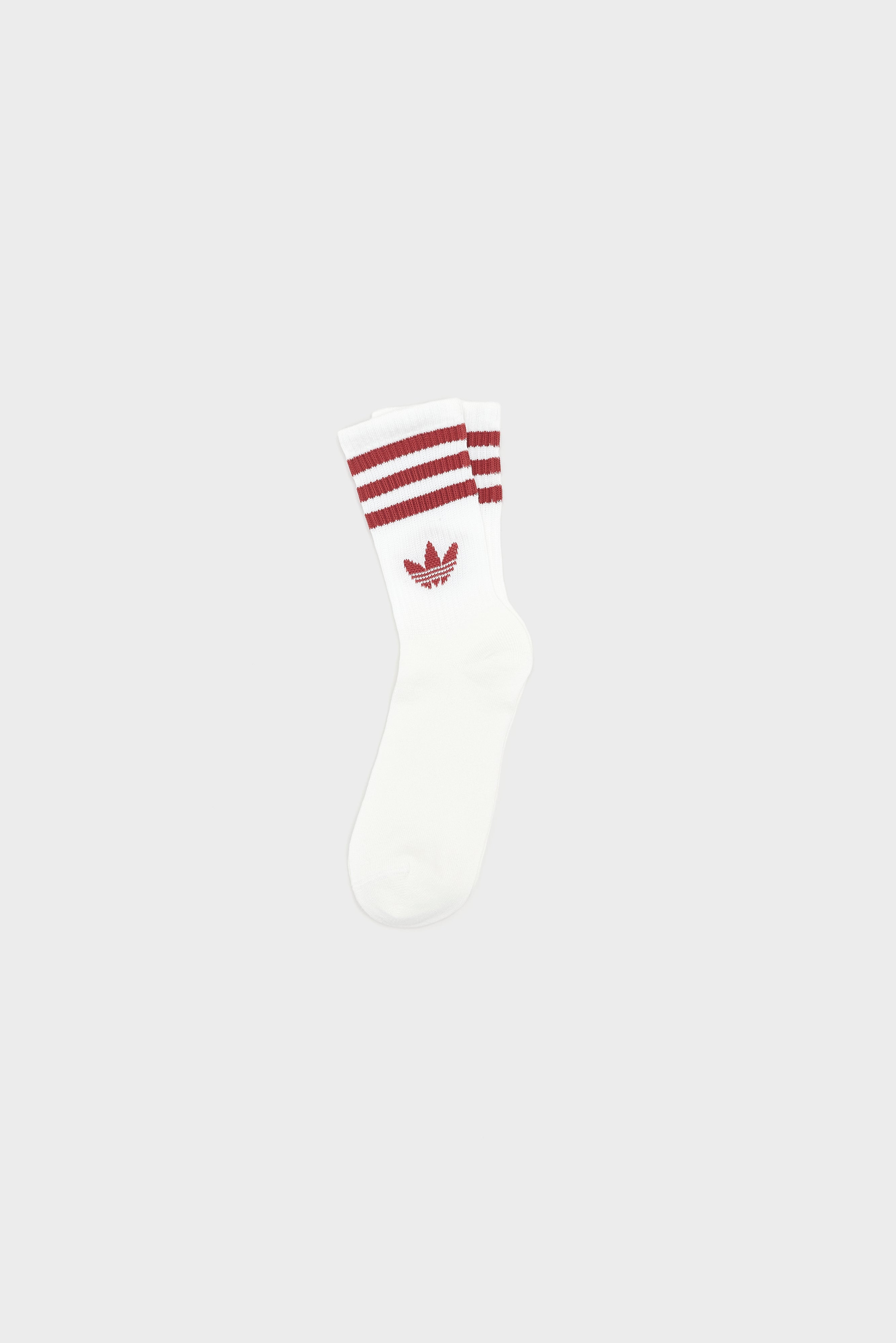 Mid Cut Crew Socks for Women  (261 / W / MULTICOLOR)