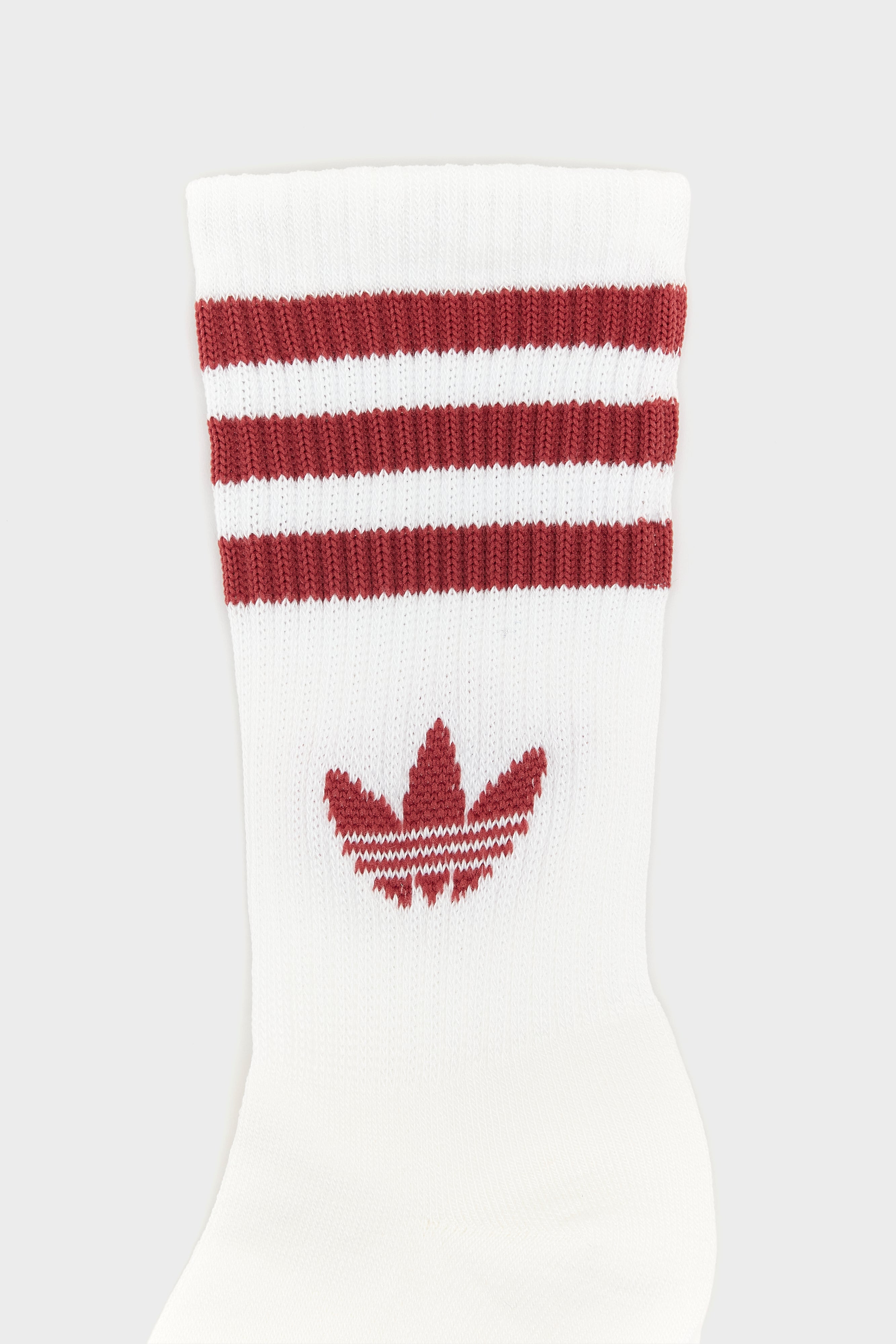 Mid Cut Crew Socks for Women  (261 / W / MULTICOLOR)