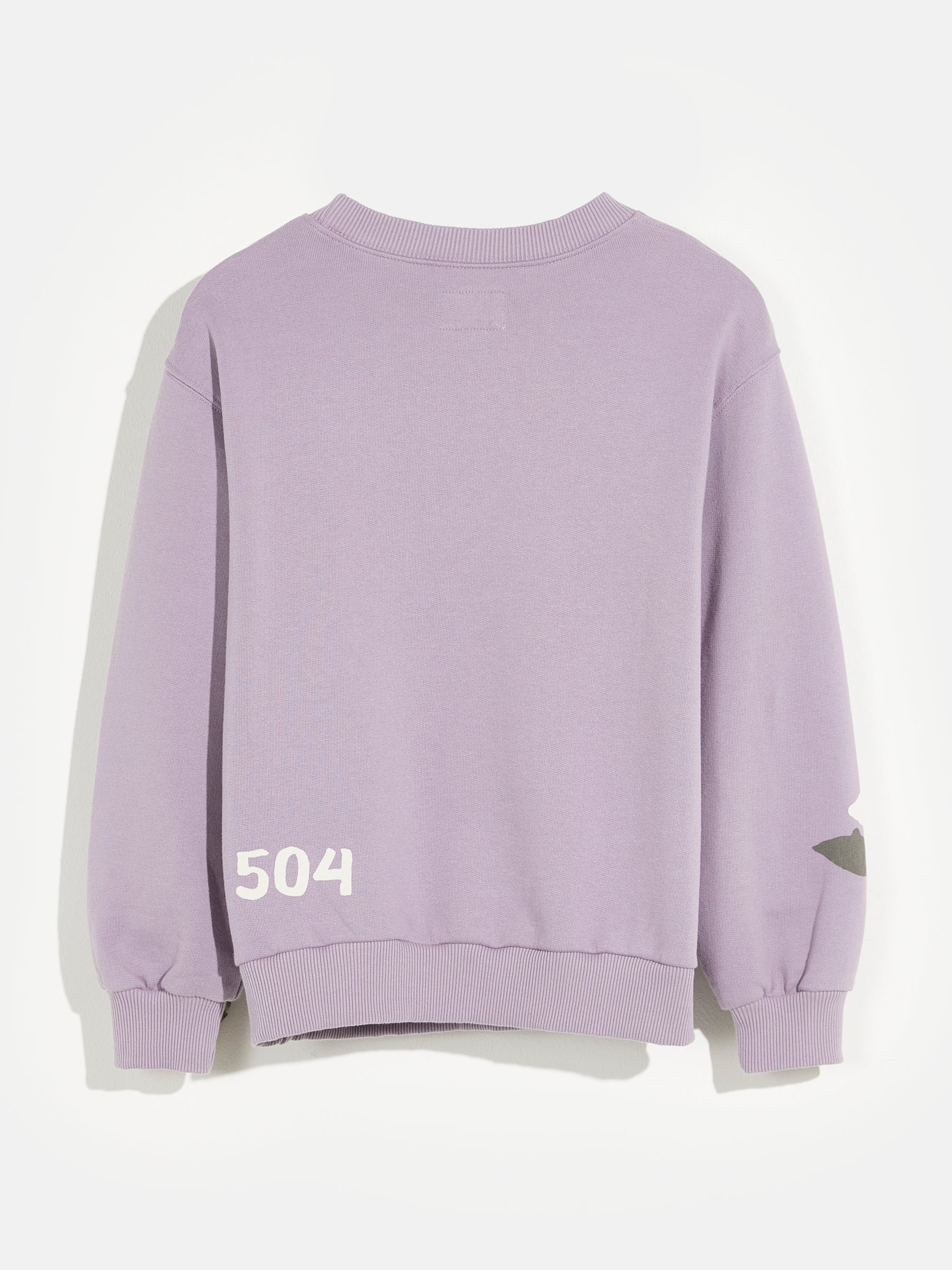 Chami Sweatshirt For Boys | Bellerose