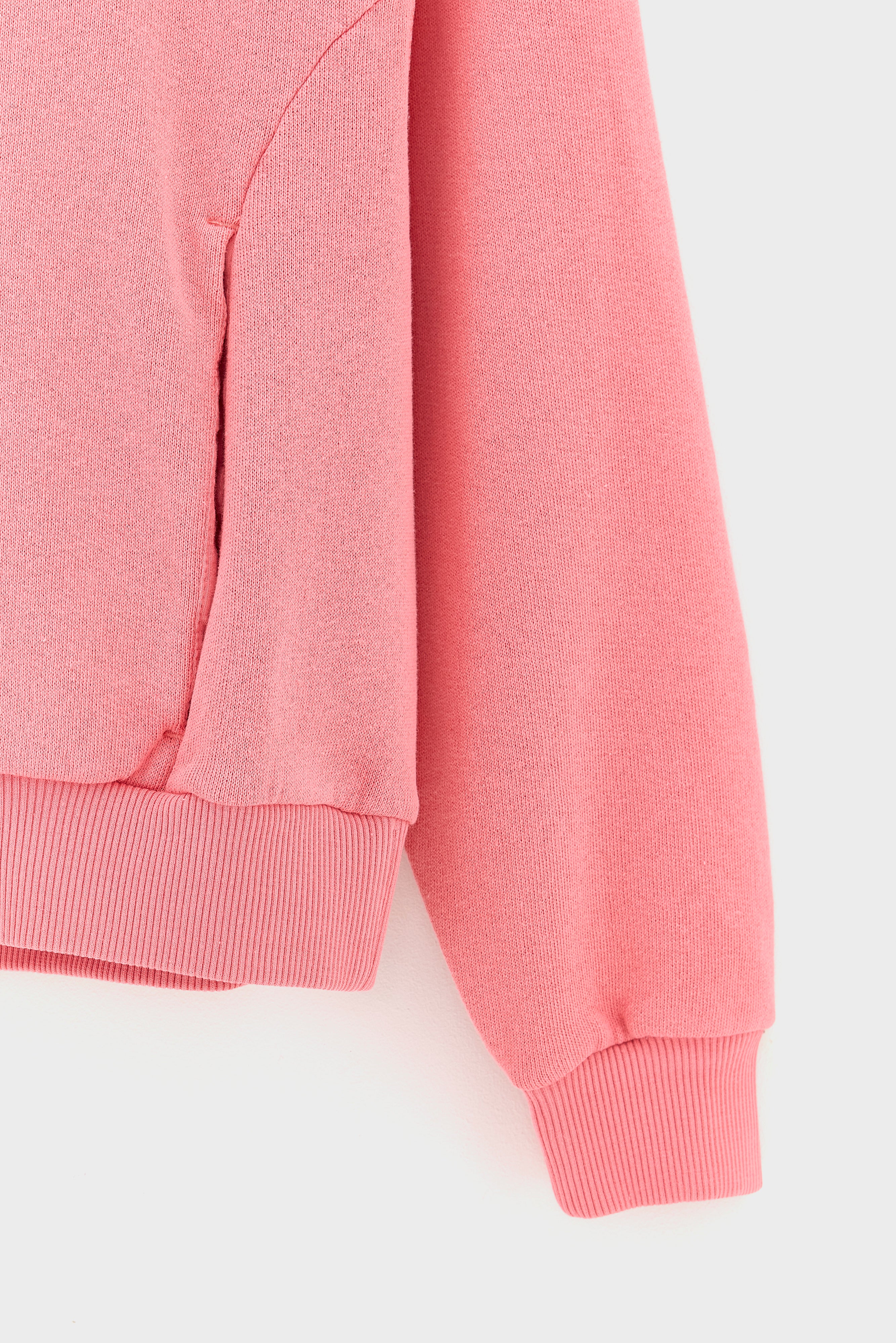 Fadopo relaxed sweatshirt (261 / G / CANDY)