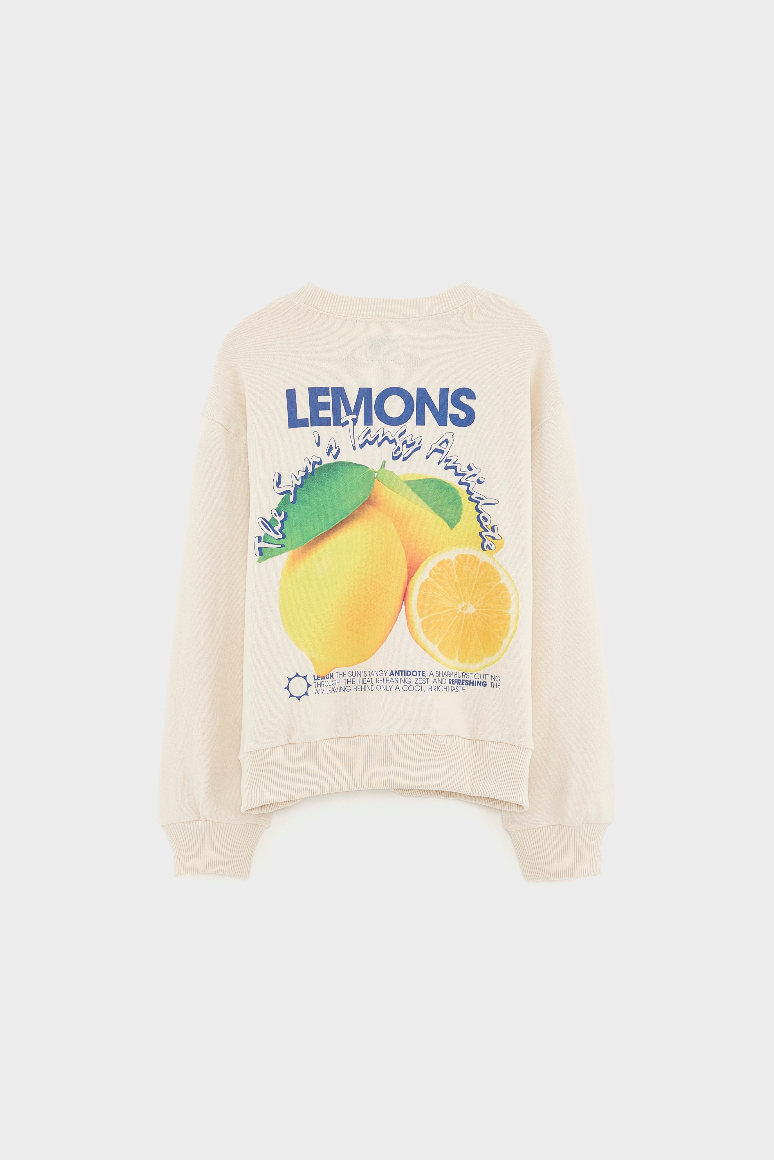 Chami Crewneck Sweatshirt - Cream For Boys | Bellerose