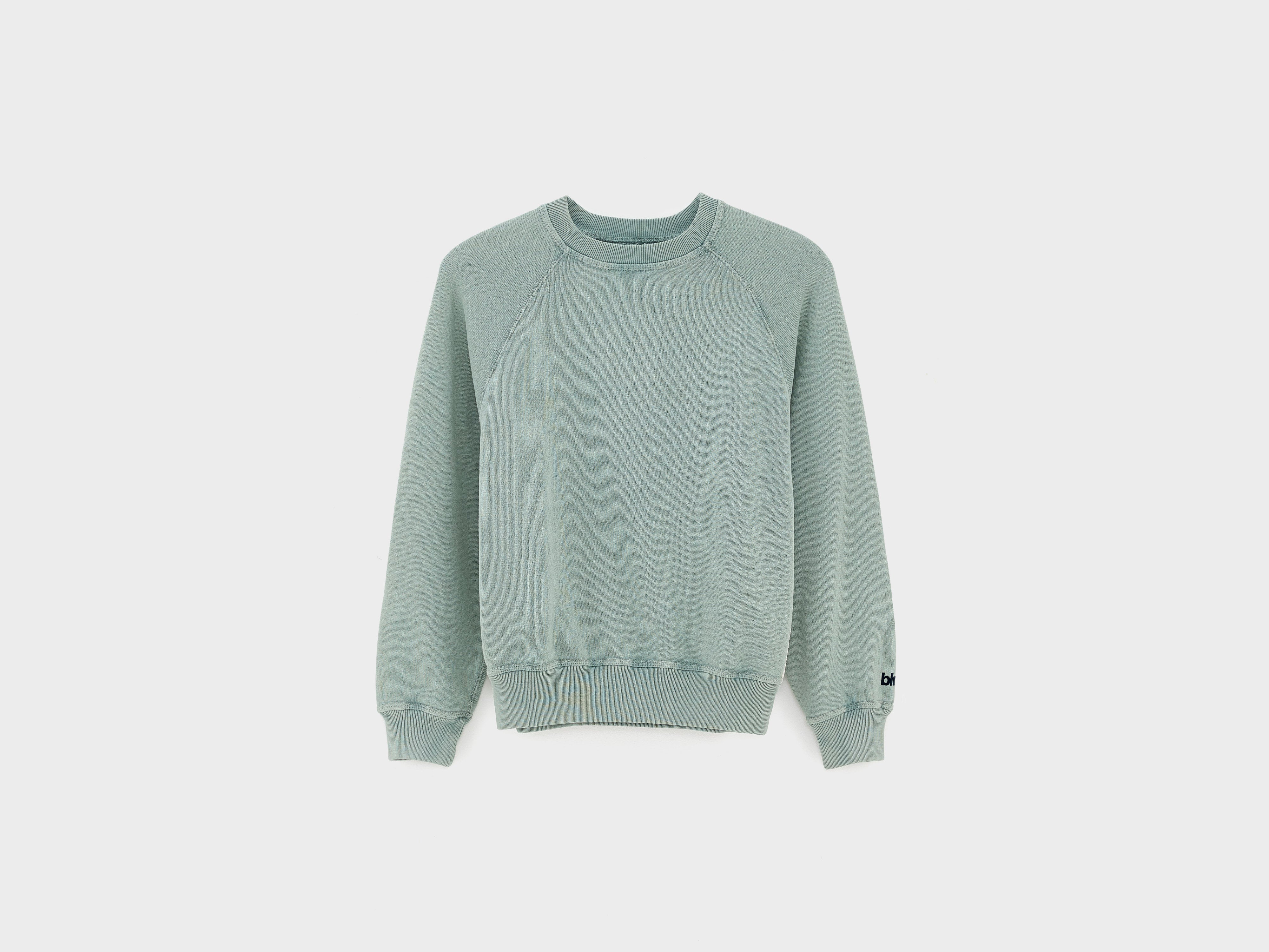 Fagolo crewneck sweatshirt (261 / B / LIMESTONE)