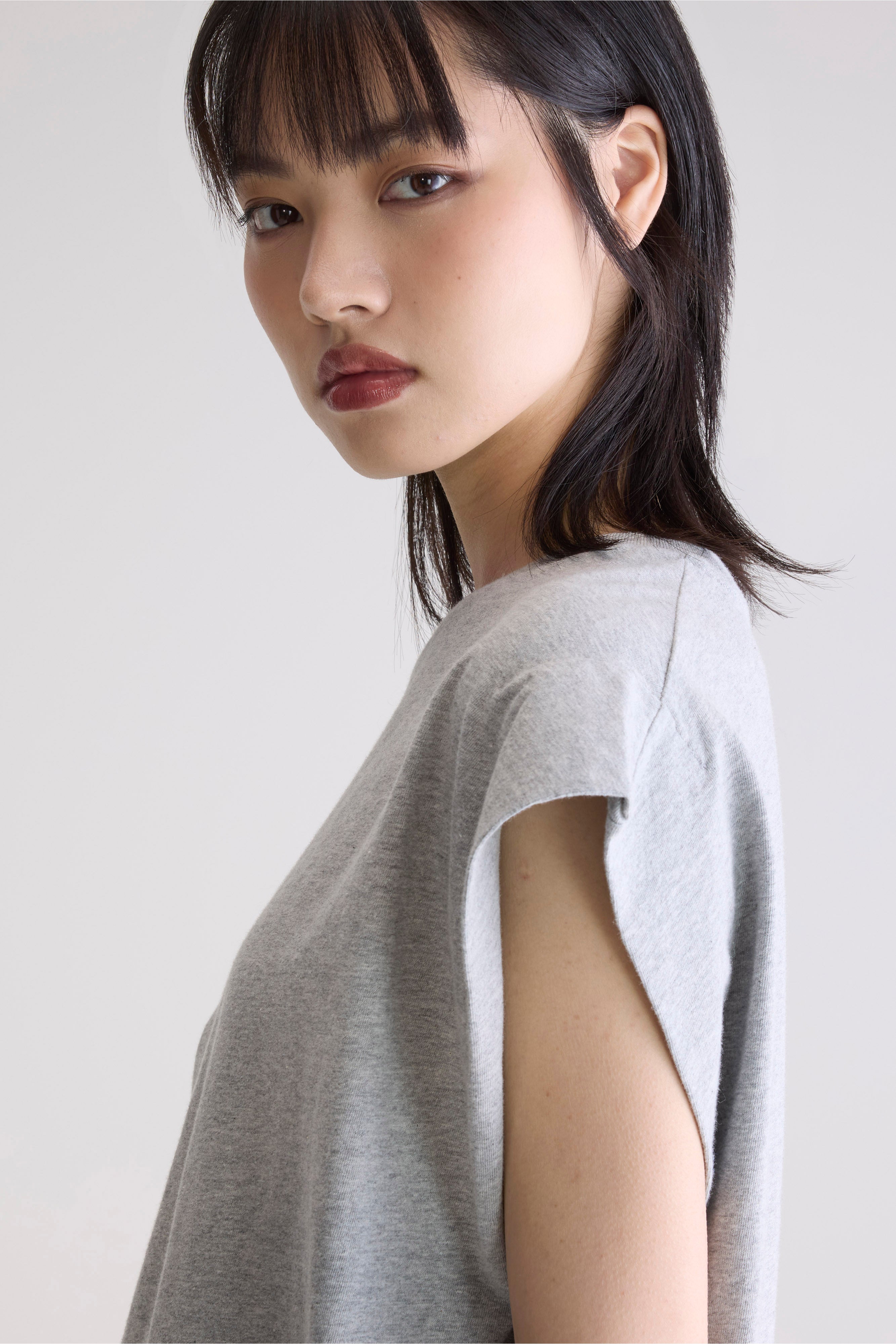 Vice crew-neck t-shirt (252 / W / H. GREY)