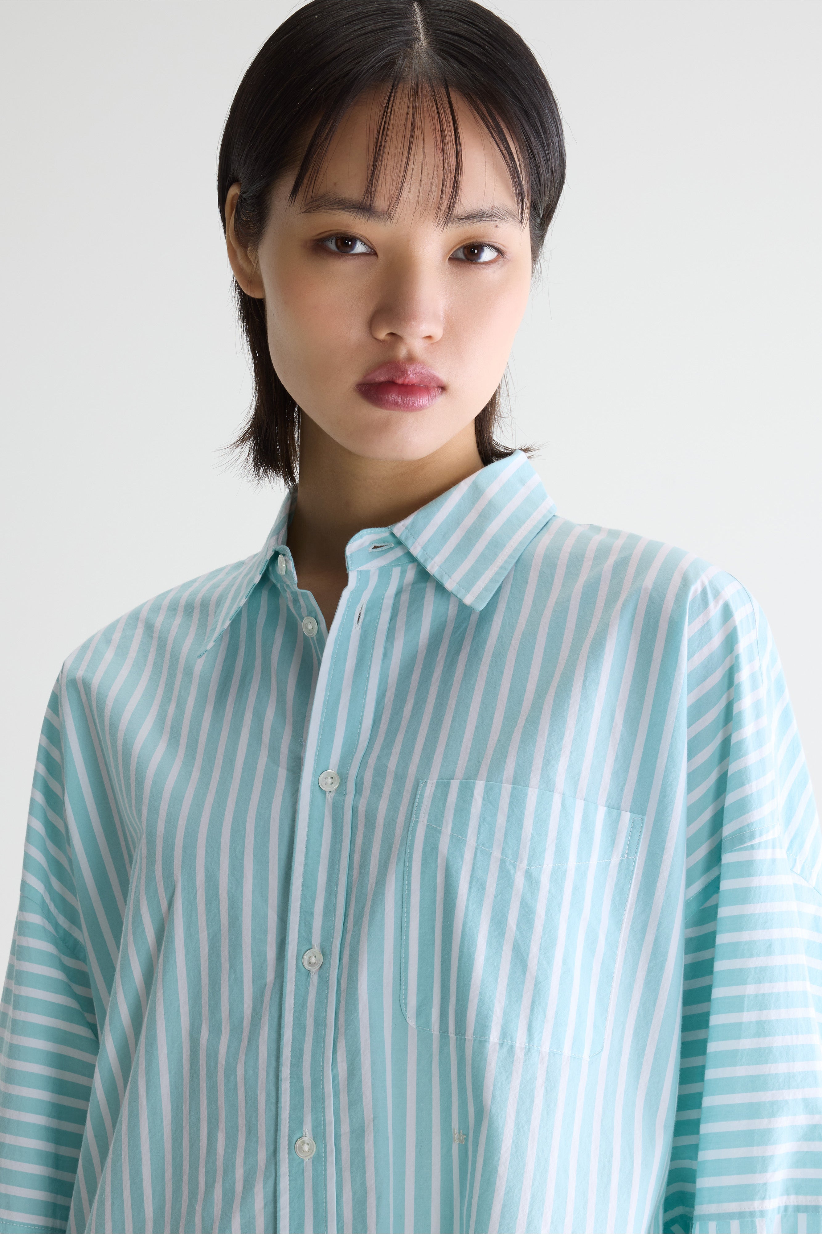 Jinner gestreepte hemdjurk (261 / W / STRIPE A)