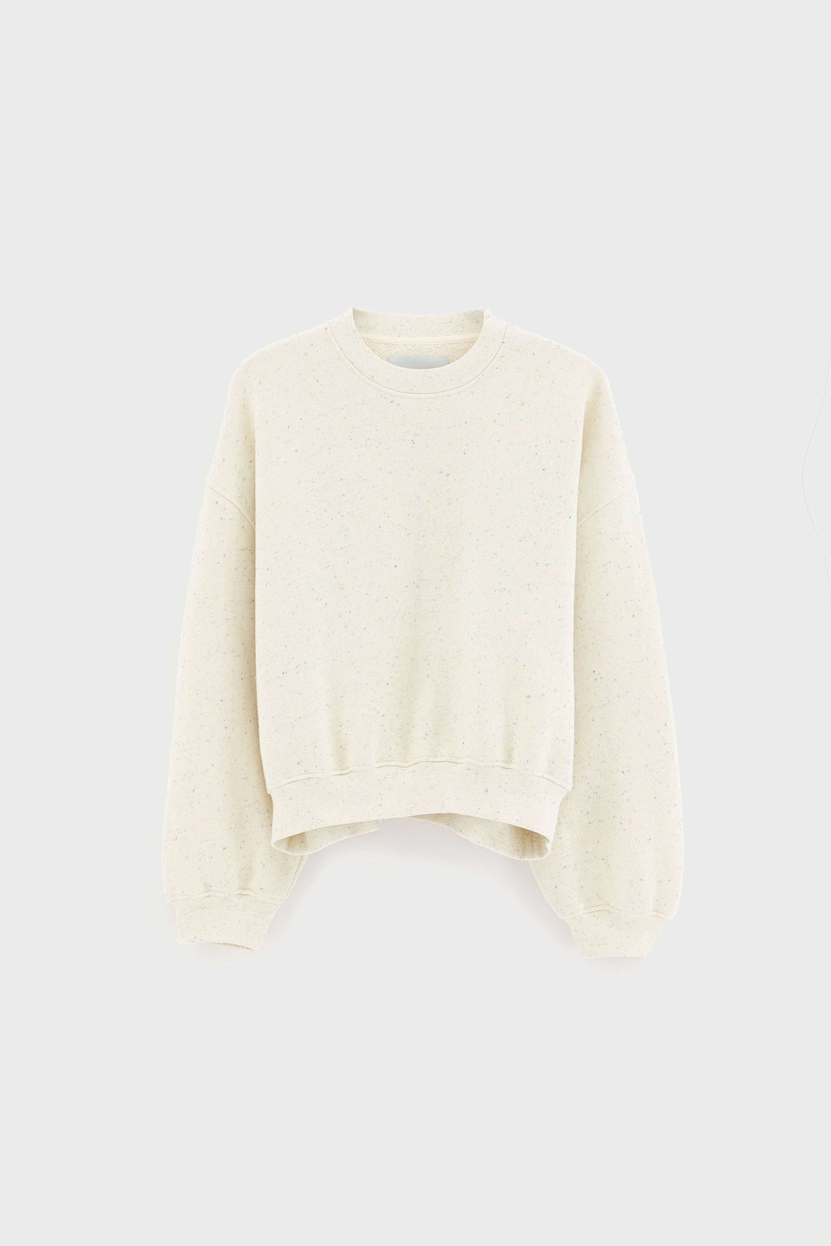 Fancy cropped crewneck sweatshirt (261 / W / COMBO A)