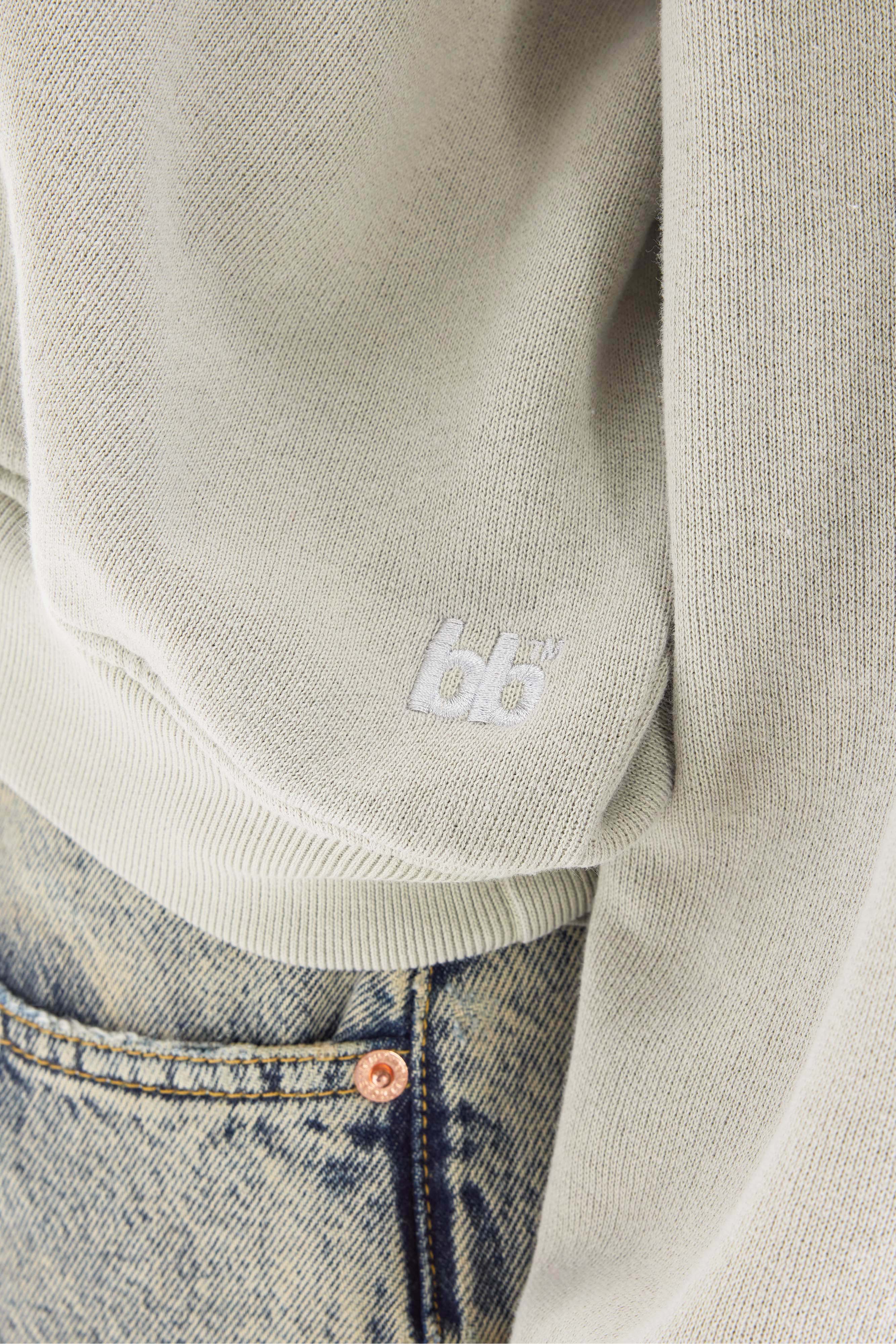Fancy cropped crewneck sweatshirt (261 / W / JADEITE)