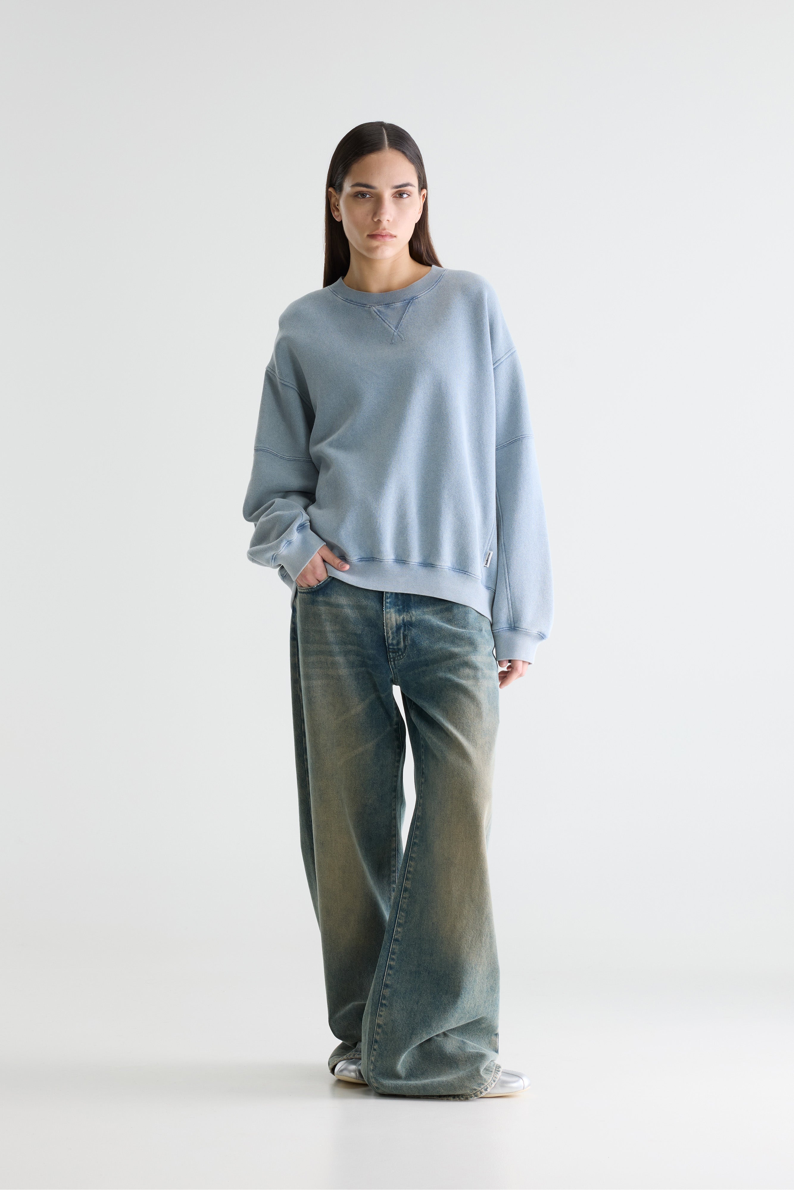 Flips Crewneck Sweatshirt - Artic For Women | Bellerose