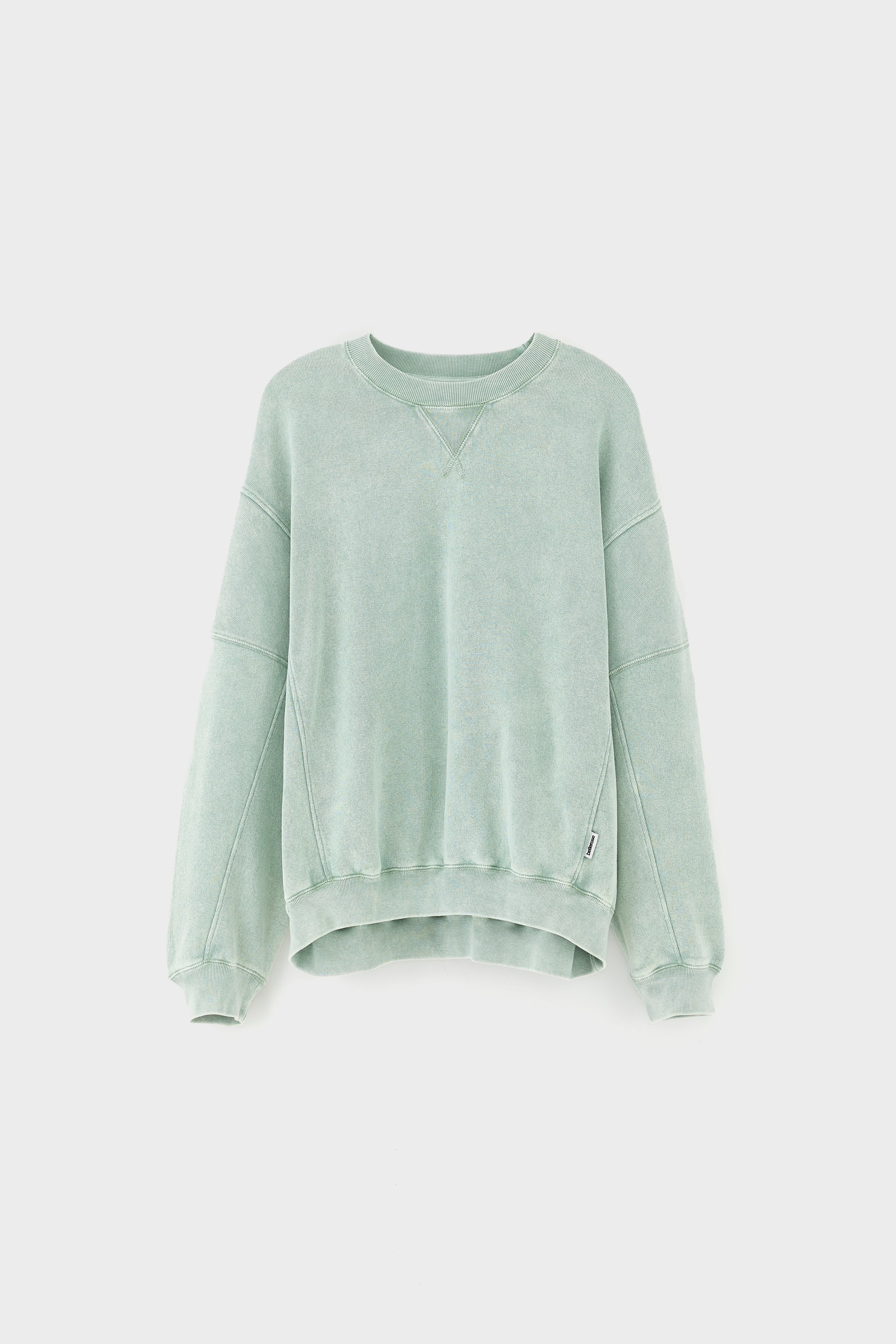 Flips crewneck sweatshirt (261 / W / JADEITE)