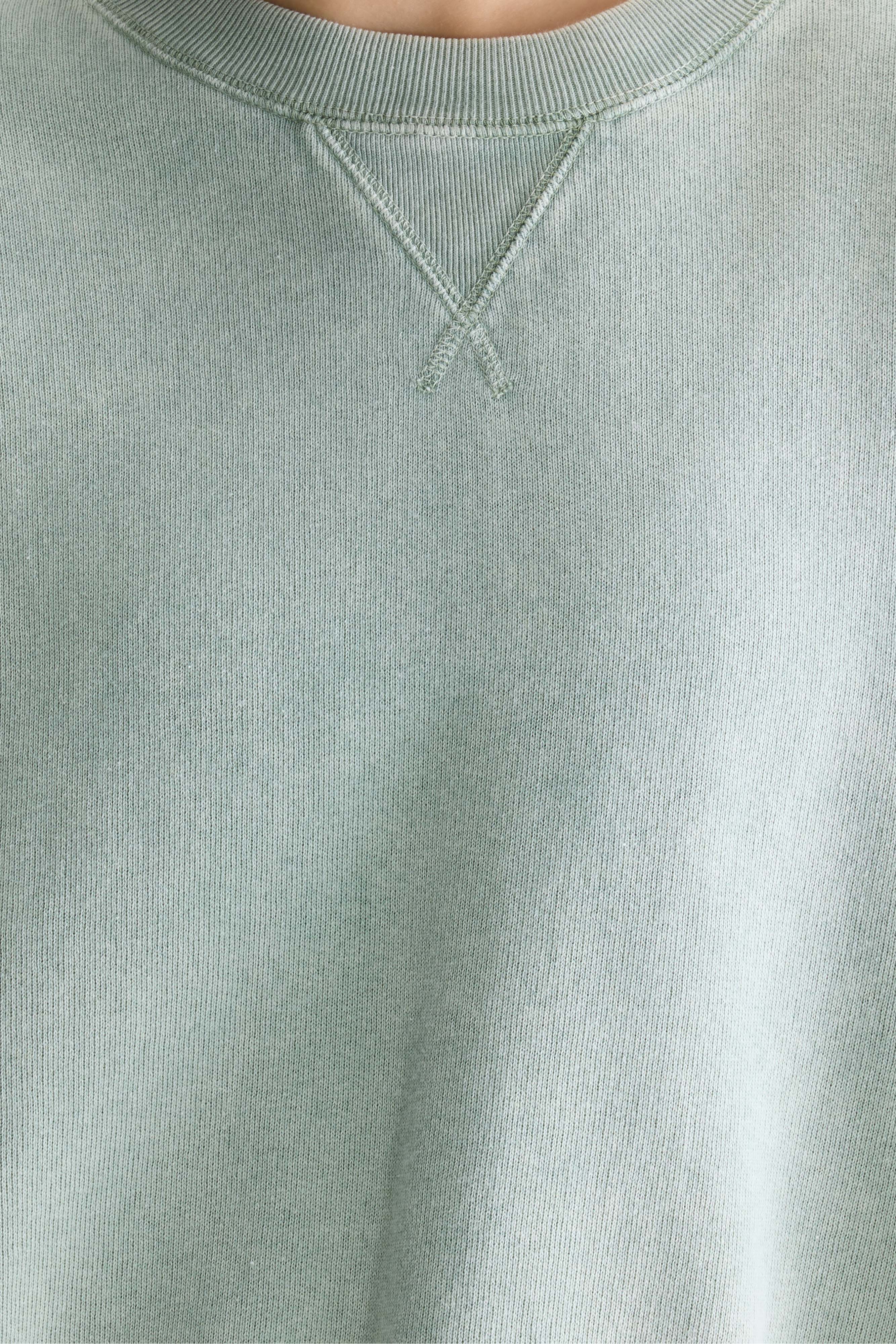 Flips crewneck sweatshirt (261 / W / JADEITE)