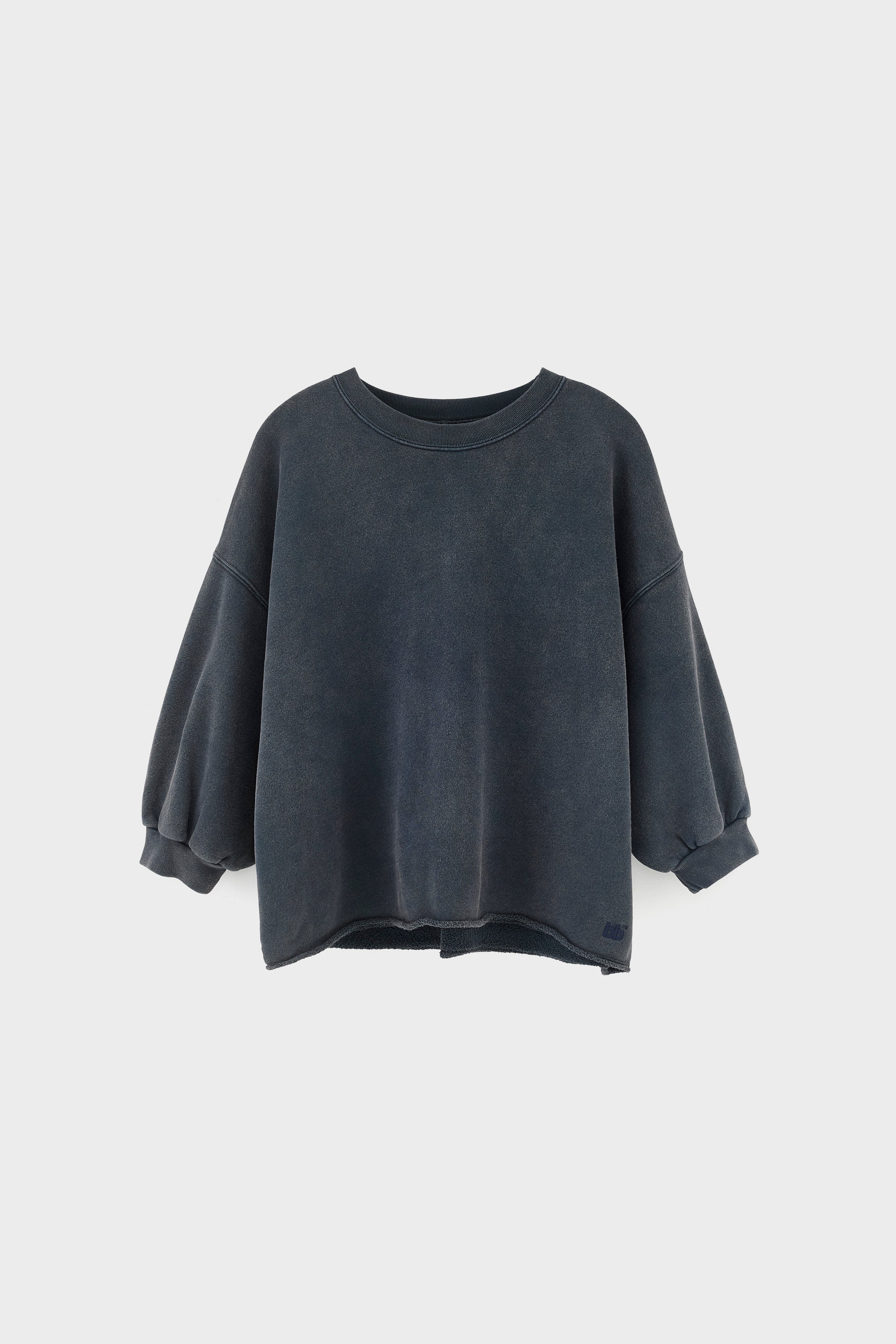Vicske crewneck sweatshirt (261 / W / METEORITE)