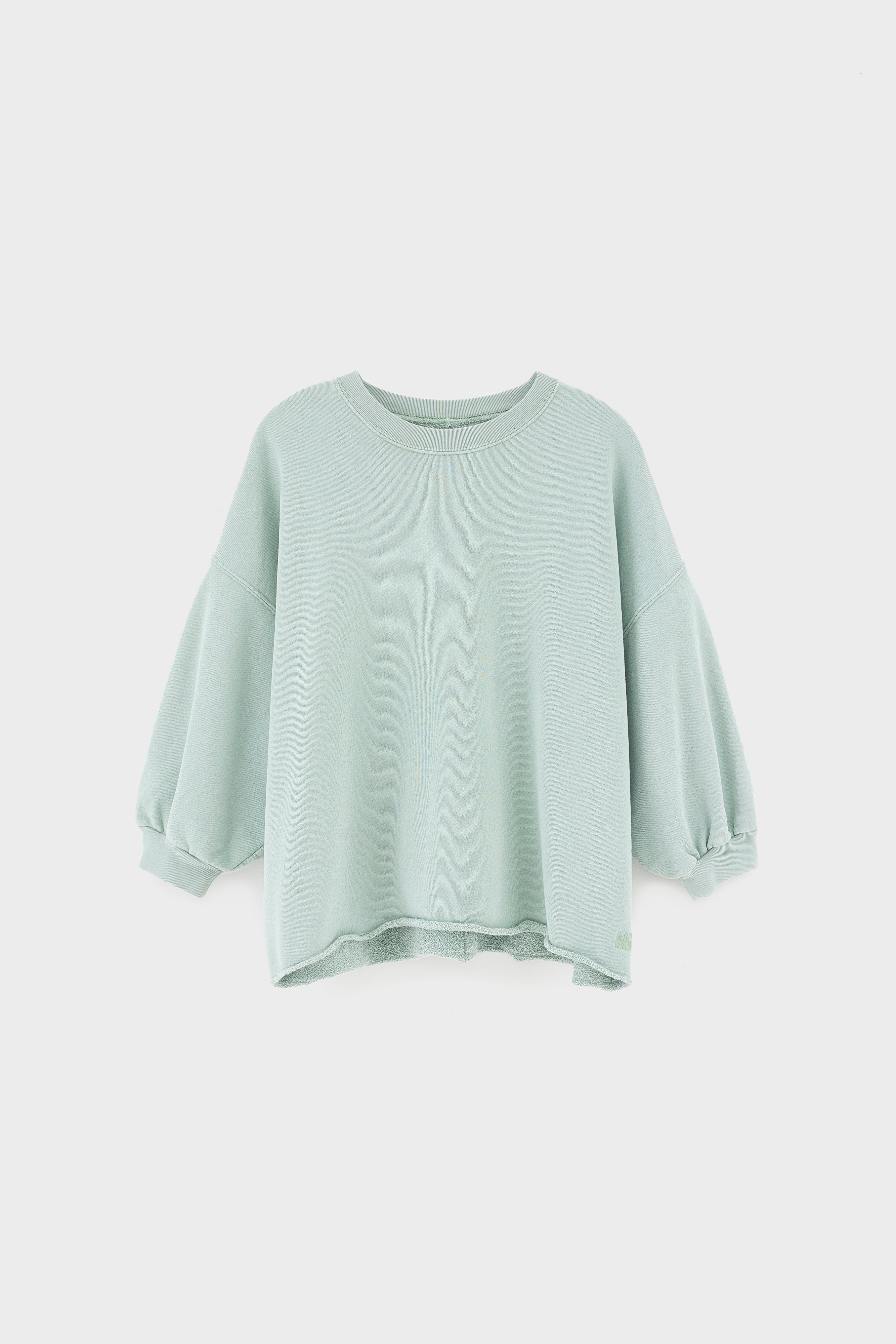 Vicske relaxed sweatshirt  (261 / W / JADEITE)