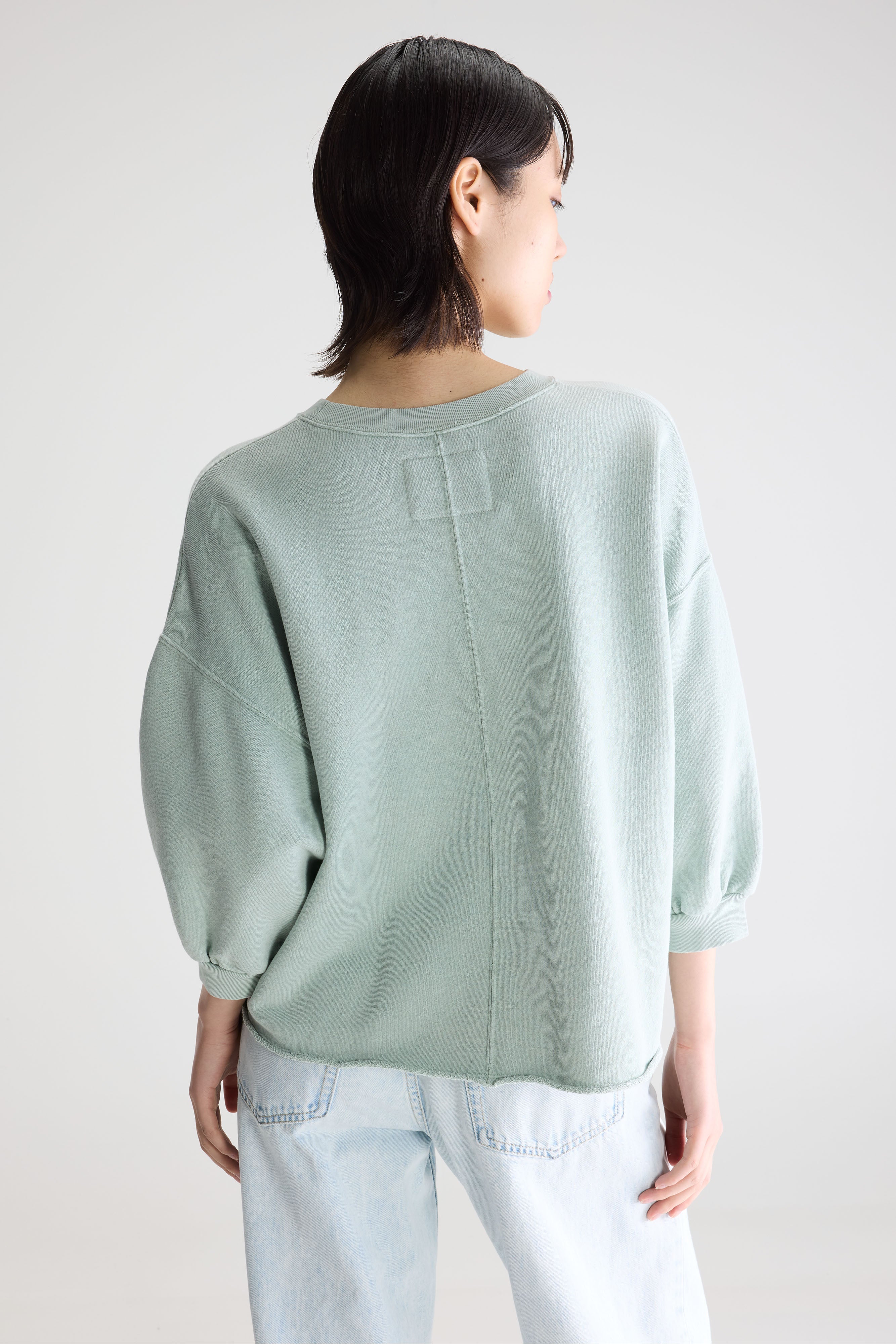 Vicske relaxed sweatshirt  (261 / W / JADEITE)