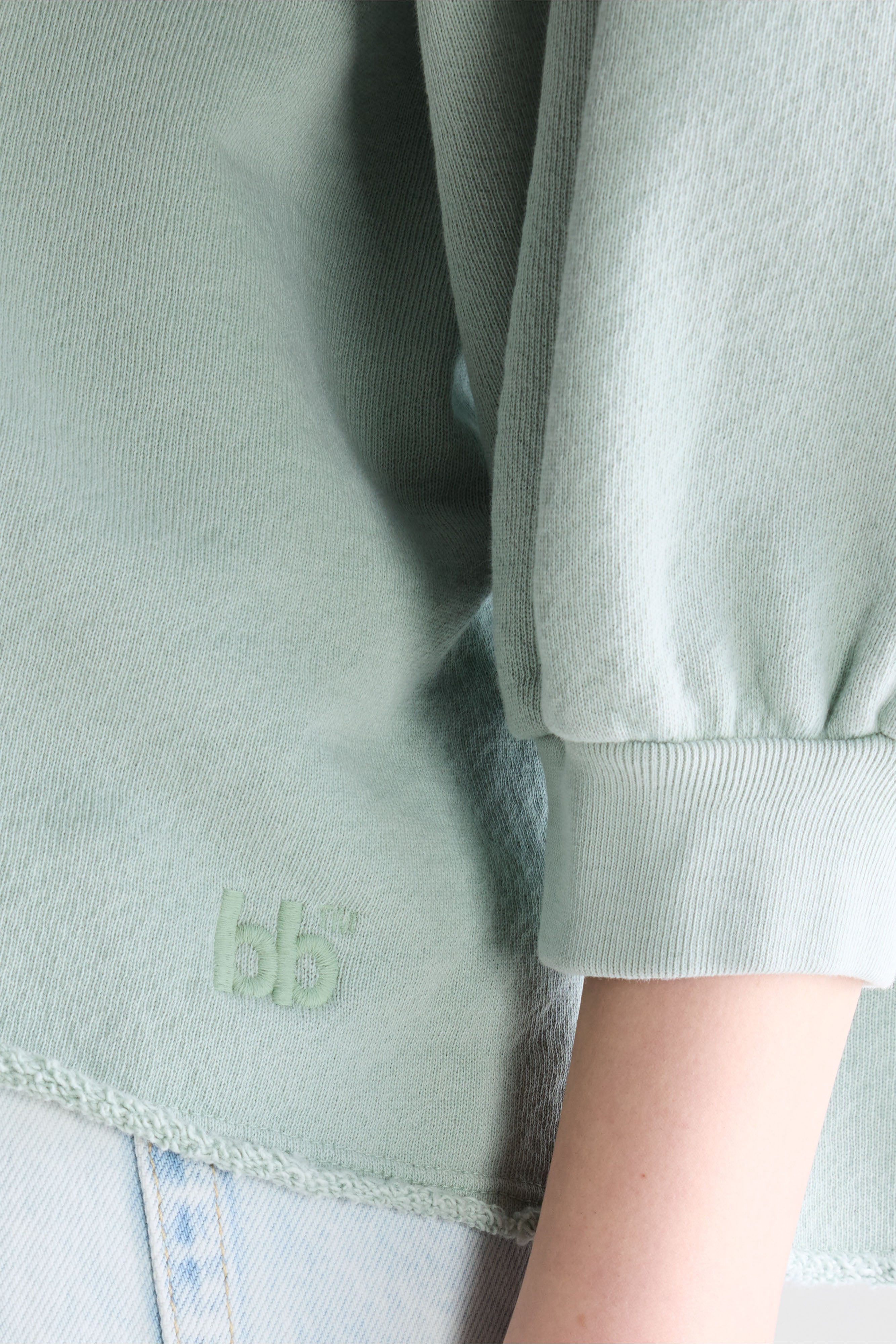 Vicske relaxed sweatshirt  (261 / W / JADEITE)