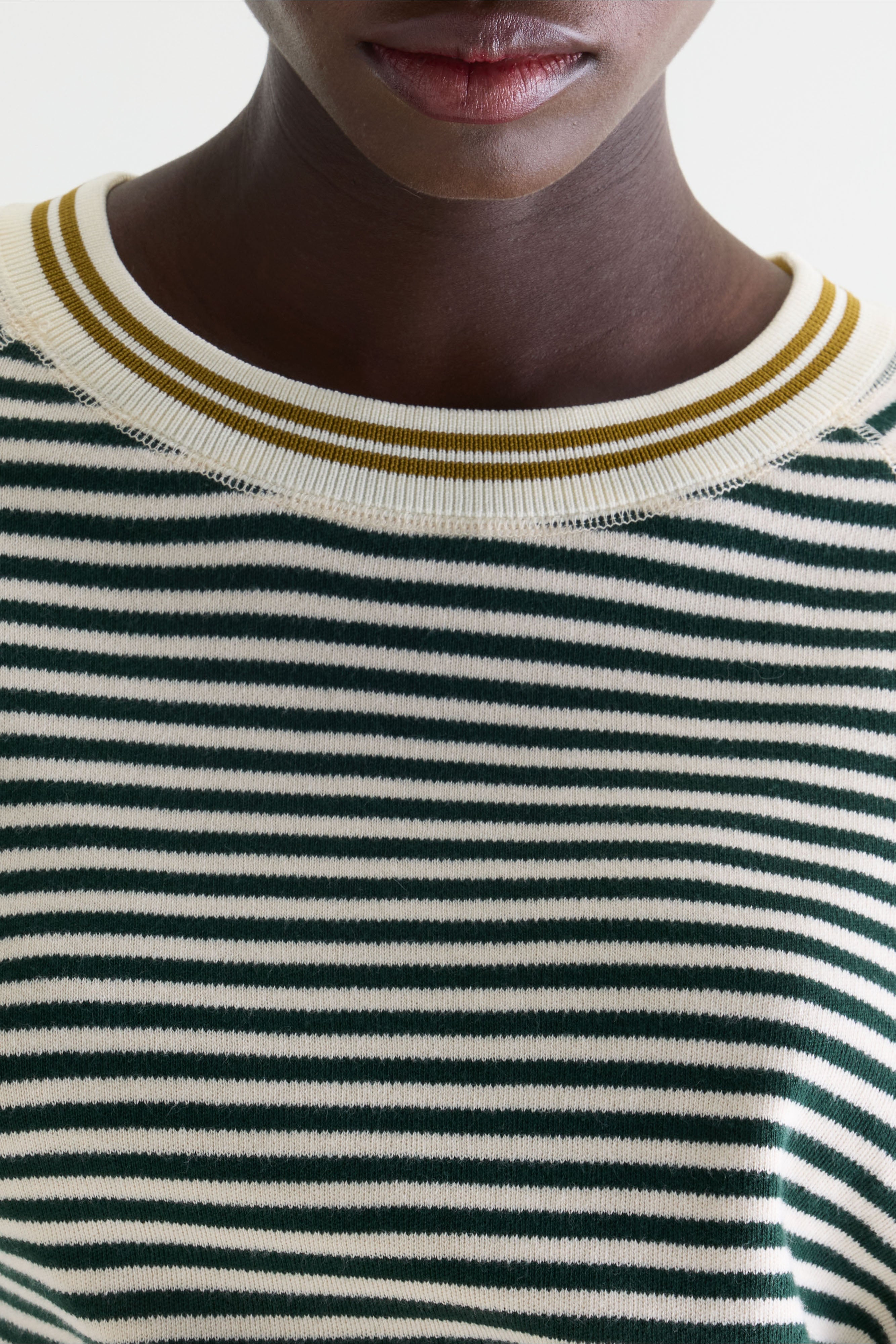 Anglet crewneck sweater (261 / W / STRIPE A)