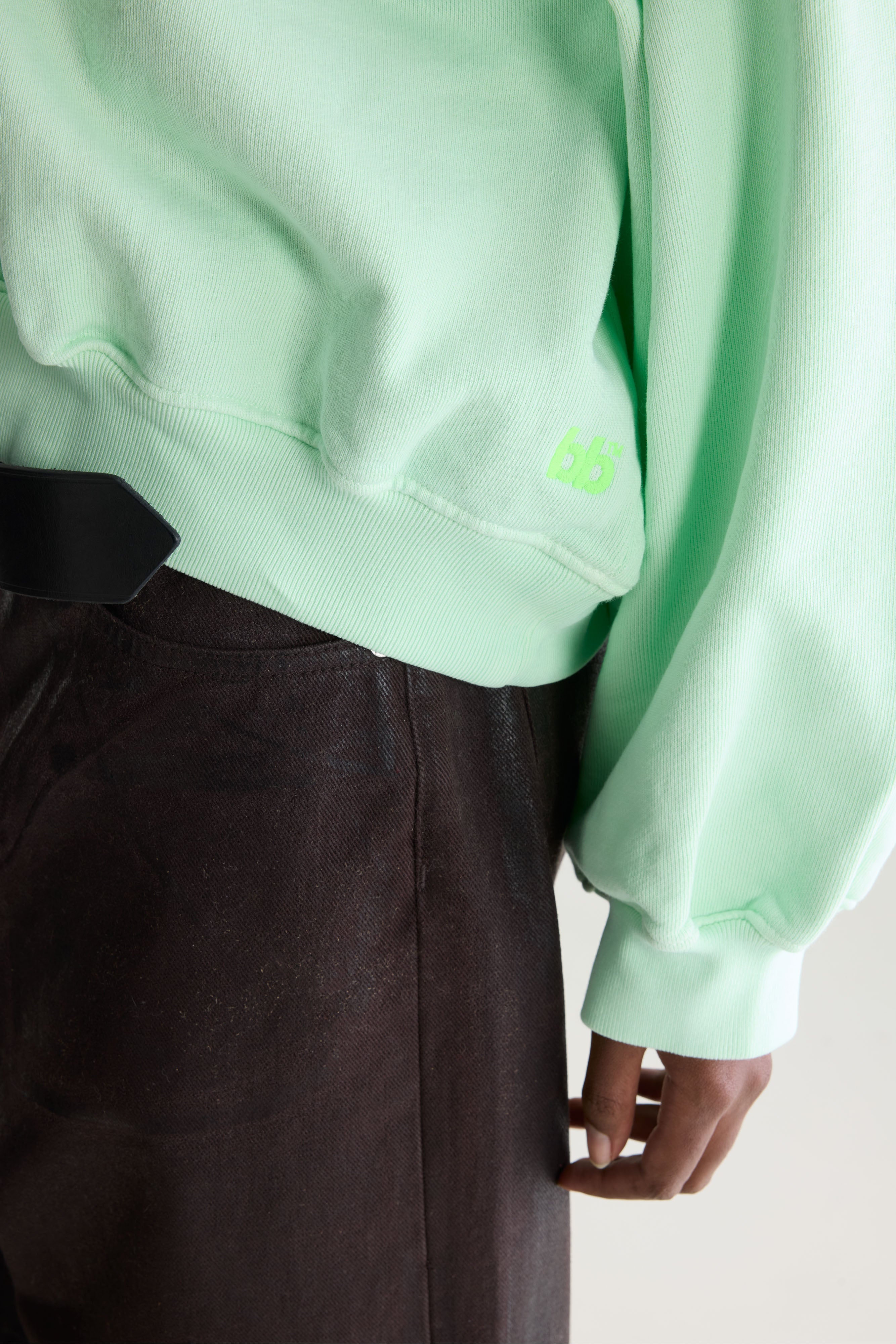 Fancy cropped crewneck sweatshirt (262 / W / VEGAS)